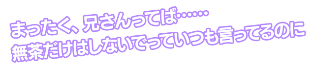 まったく、兄さんってば……無茶だけはしないでっていつも言ってるのに